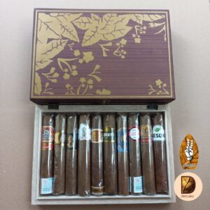 Sampler 10 Robusto