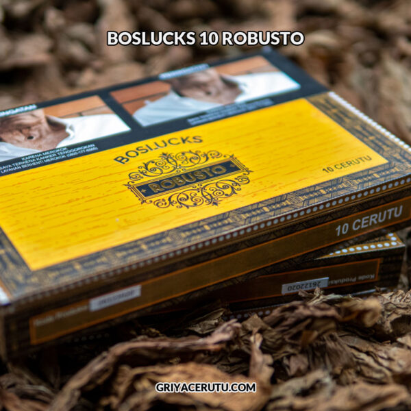 BOSLUCKS 10 ROBUSTO - Image 2