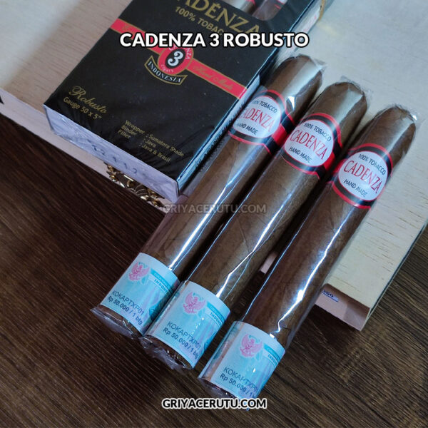 CADENZA 3 ROBUSTO - Image 3