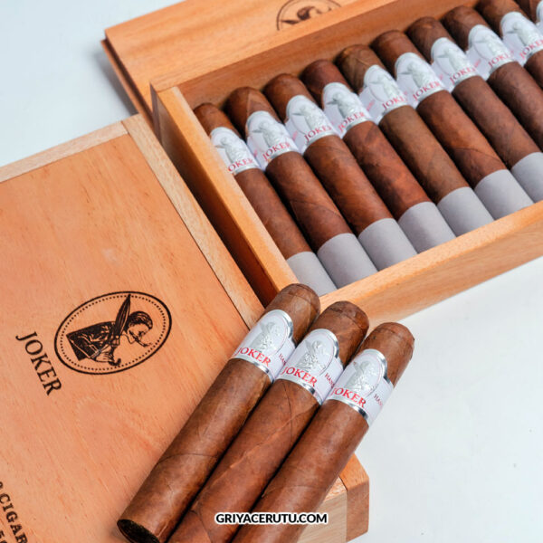JOKER 10 ROBUSTO - Image 2