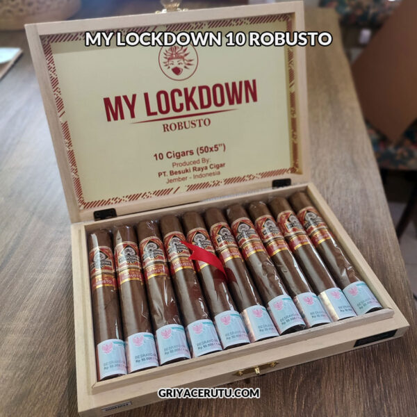 MY LOCKDOWN 10 ROBUSTO - Image 4