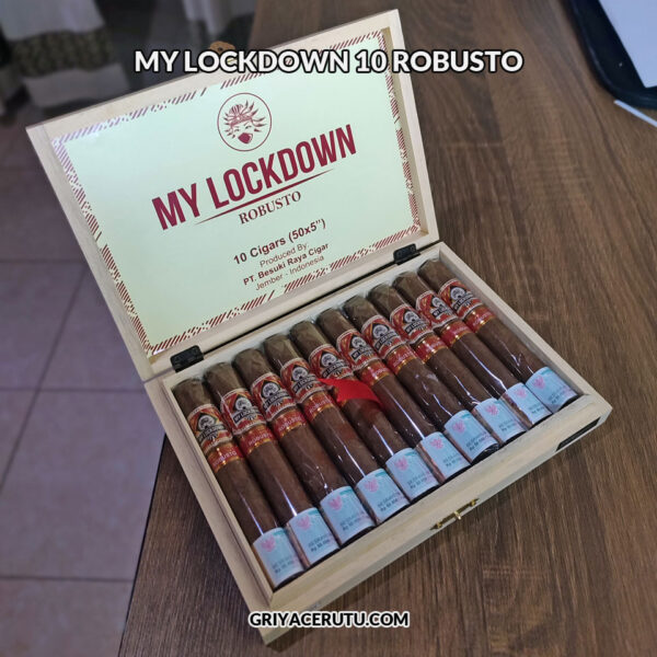 MY LOCKDOWN 10 ROBUSTO - Image 3