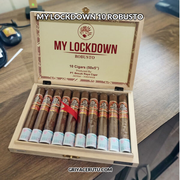 MY LOCKDOWN 10 ROBUSTO - Image 2
