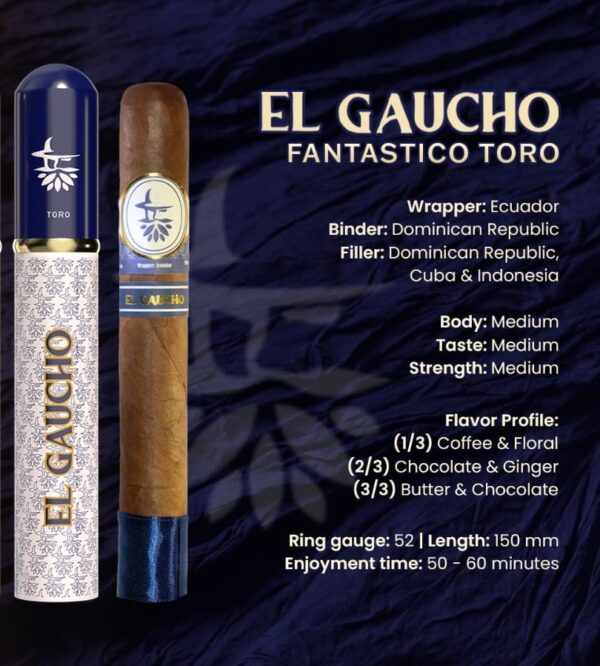 EL GAUCHO FANTASTICO TORO
