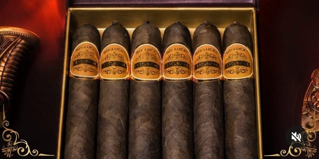 BOSLUCKS ESCURO 44 MADURO