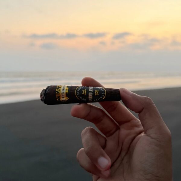 STAY GOLD 3 TROMPETA CIGARS - Image 8