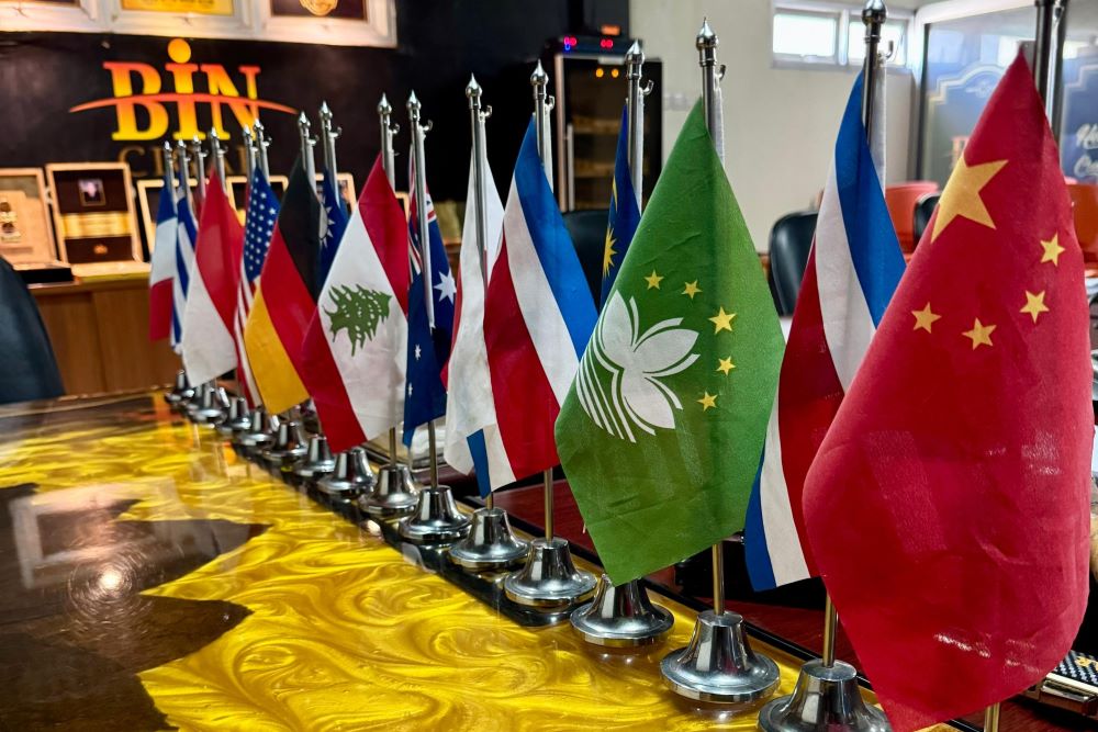 Bin Flags