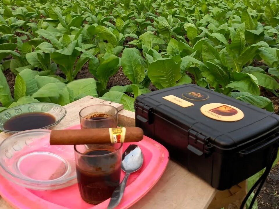 cigar coffee outdoor