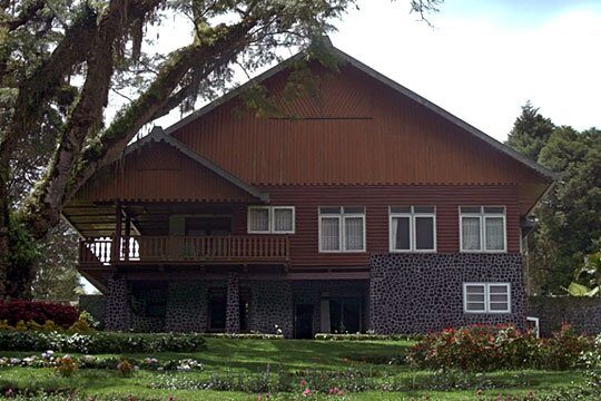 Jampit: the Estate Remote Coffee Plantation