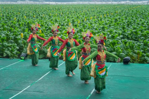 DSC03031 480x320 1