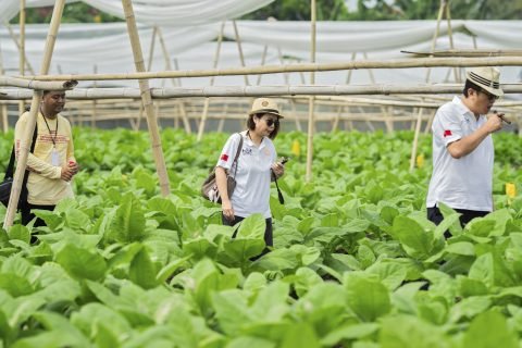 DSC09455 480x320 1
