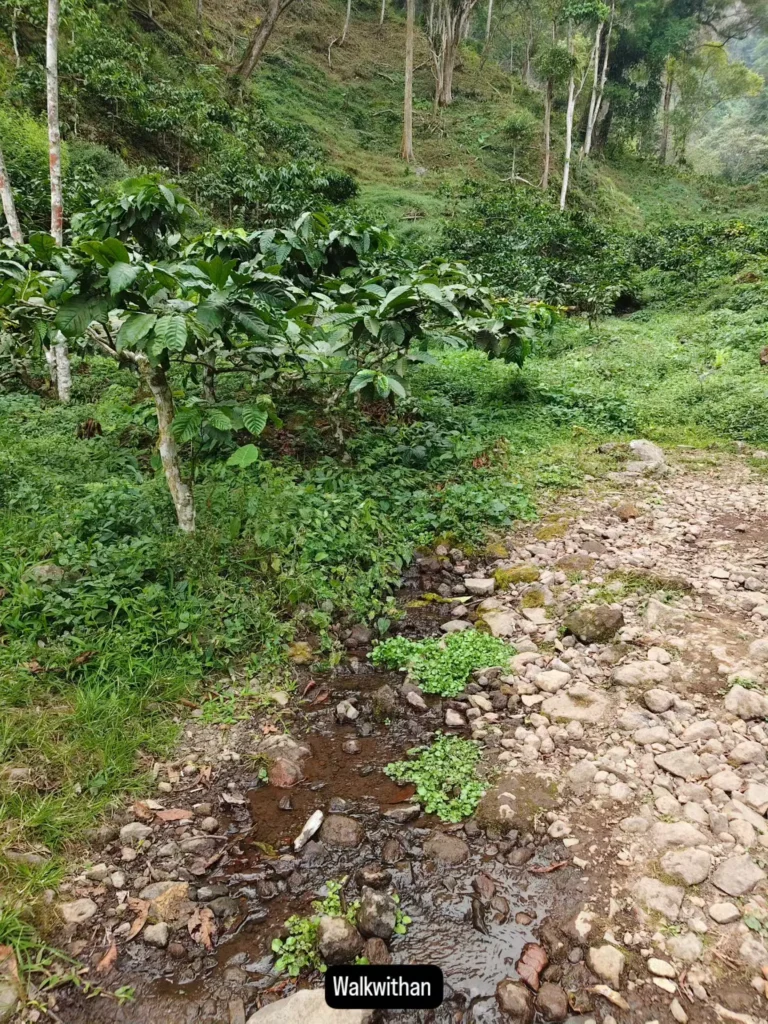 IMG 20260829 211236 746