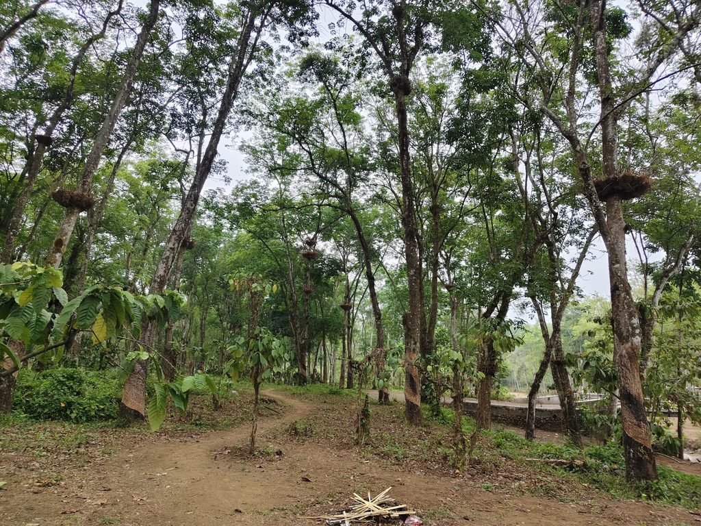 Kalijompo Walking Tour 18