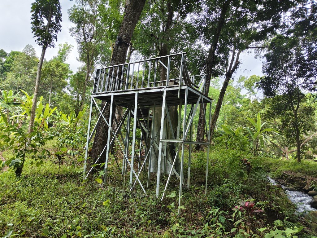 Kampung Durian Walks 11