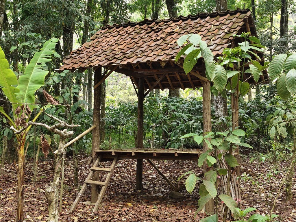 Kampung Durian Walks 13