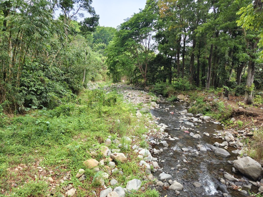 Kampung Durian Walks 3