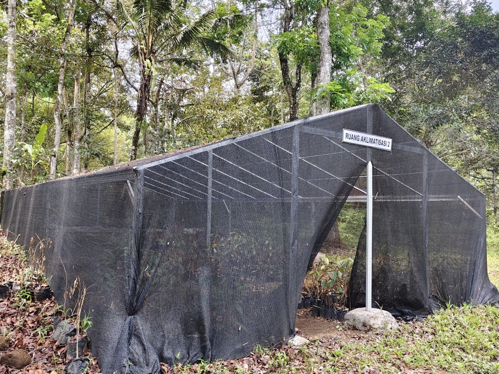 Kampung Durian Walks 6