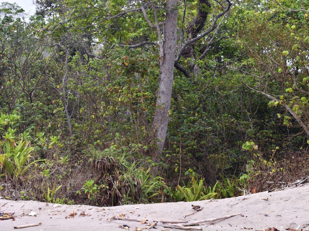 Nanggelan Beach 11