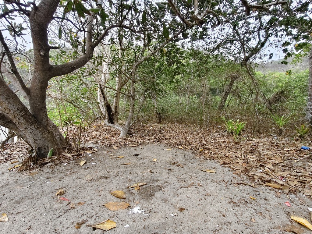 Nanggelan Beach 15