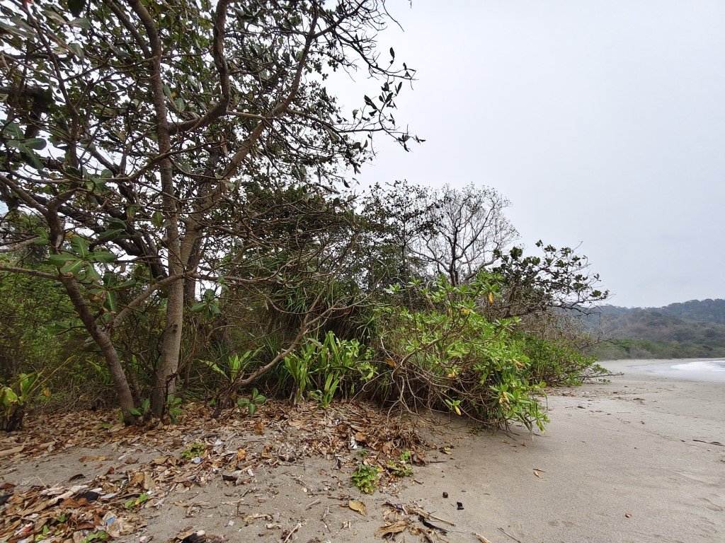 Nanggelan Beach 16
